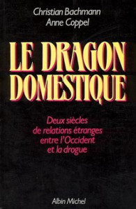 image dragon domestique