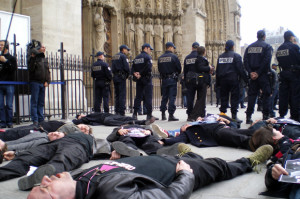 zap notre dame - copie